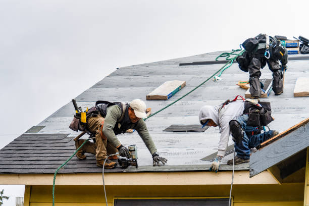 Professional Roof Replacement technician working in Laura, IL